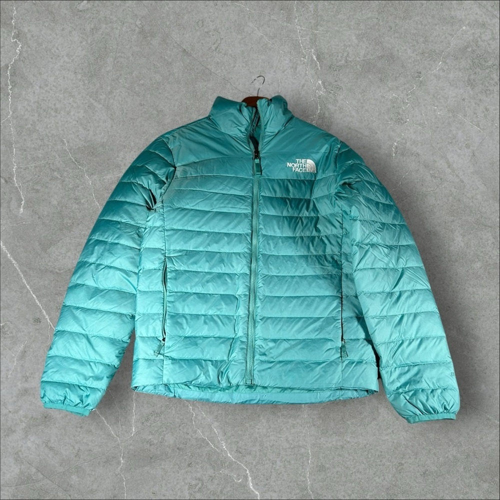 The North Face Puffer Jacket Men Small Teal Blue 550 Down Waterfowl Feather Coat